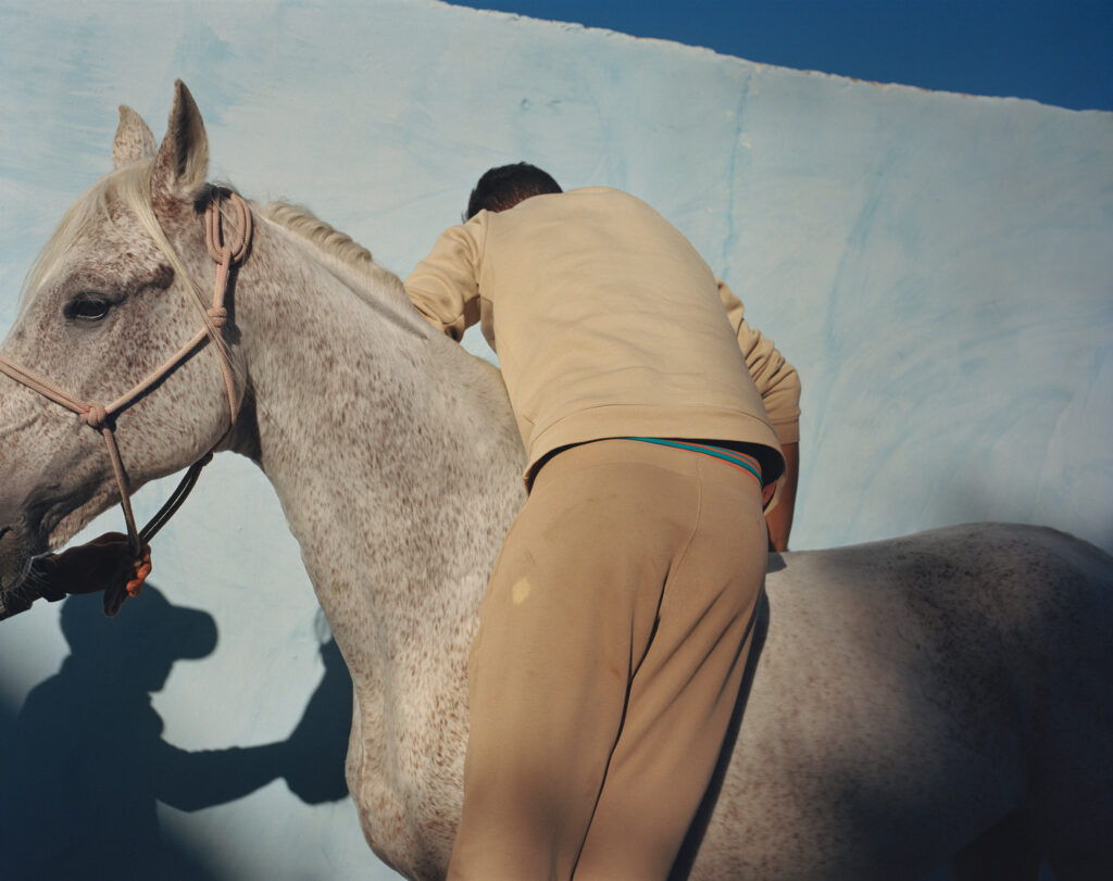 © Sophie Ebrard - THEY ARE NOT AFRAID OF RIDING STALLIONS 4