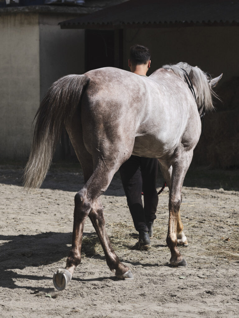 © Urs Bigler - The Horseman, Horseman 3
