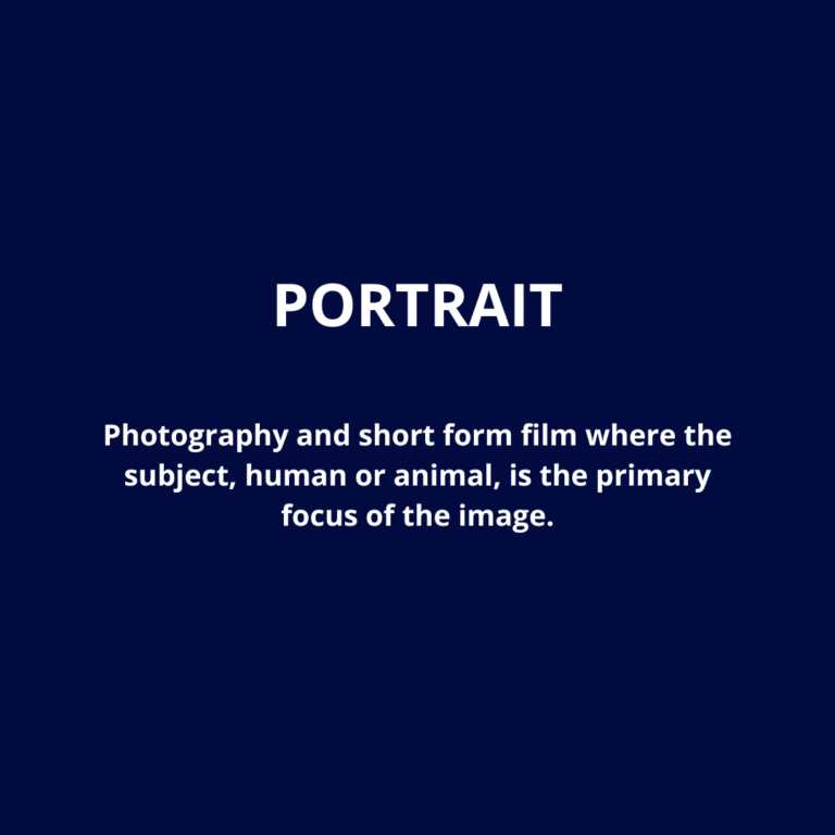 Portrait_Category Overview