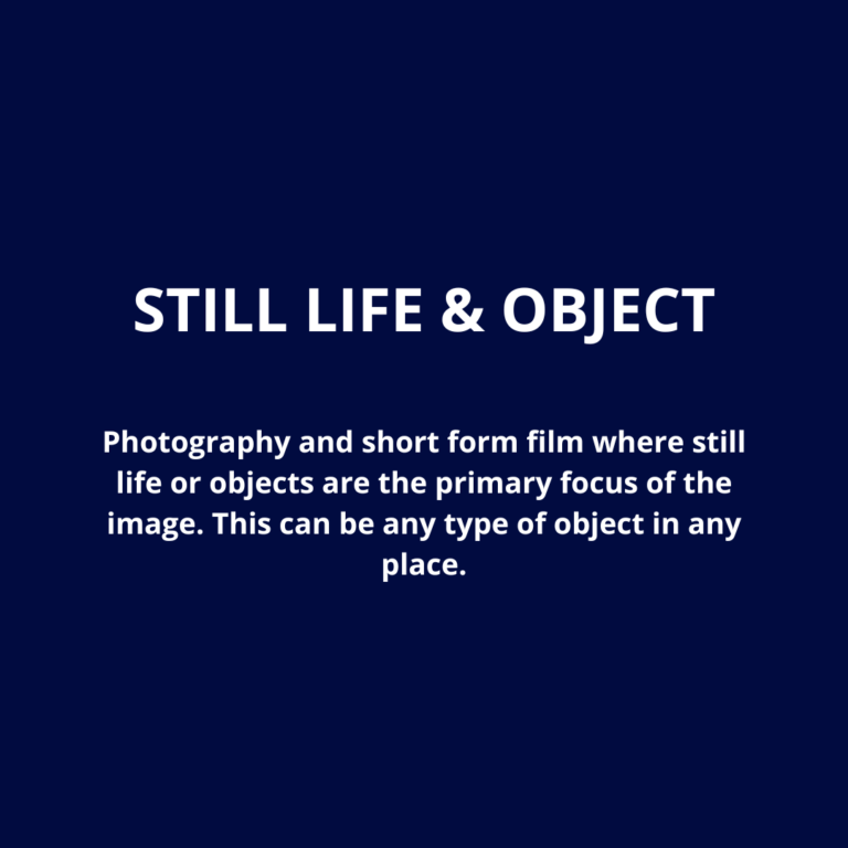Still Life & Object_Category Overview