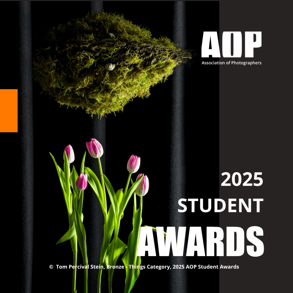 2025 Student Awards_BRONZE THINGS_Tom Percival Stein (2)