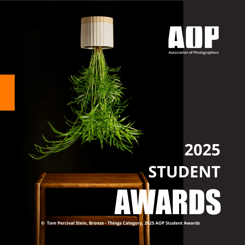 2025 Student Awards_BRONZE THINGS_Tom Percival Stein (3)