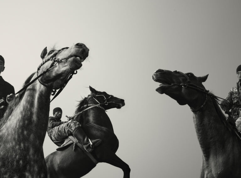 © Todd Antony, Buzkashi