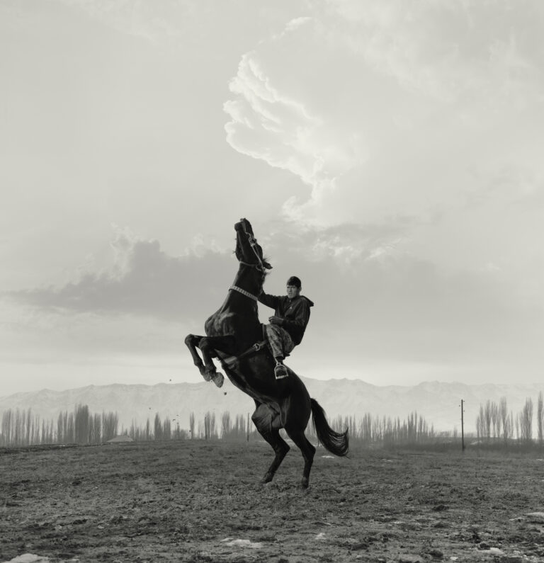© Todd Antony, Buzkashi