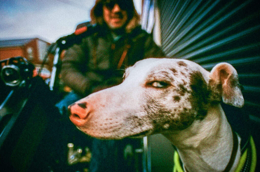 © Simon Hill - Horden, Co Durham, Giving the Side Eye