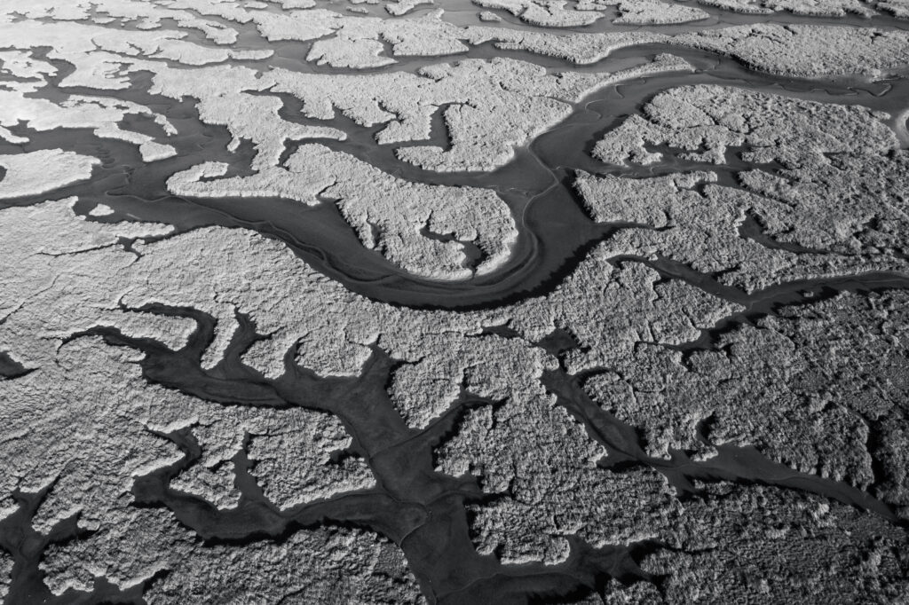 © Sean Breithaupt, Patterns in a Floodzone