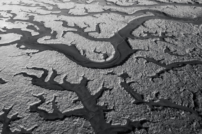 © Sean Breithaupt, Patterns in a Floodzone