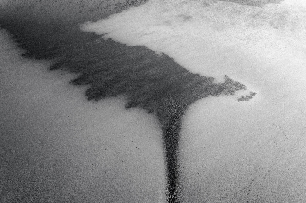 © Sean Breithaupt, Patterns in a Floodzone
