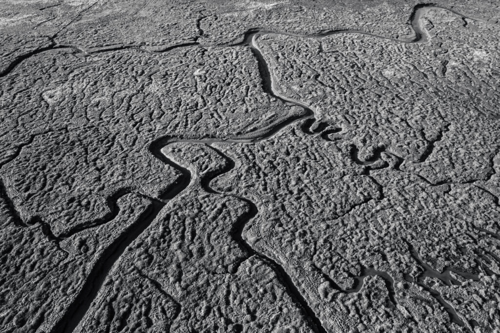 © Sean Breithaupt, Patterns in a Floodzone