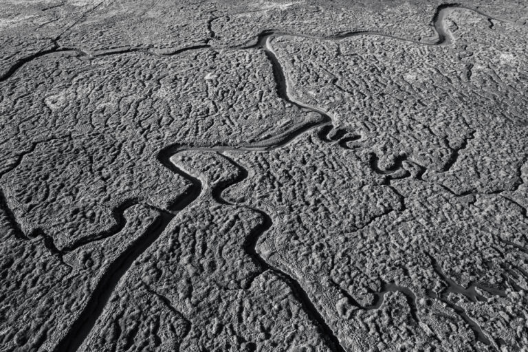 © Sean Breithaupt, Patterns in a Floodzone