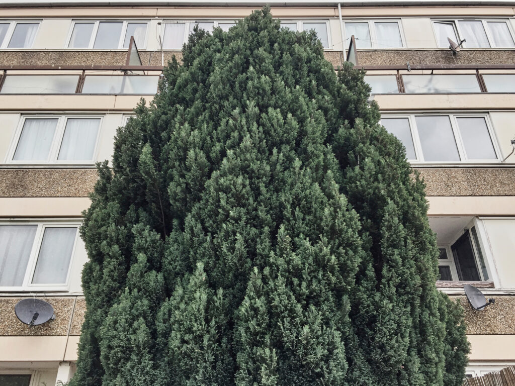 ©Wendy Carrig - Cambridge Flats