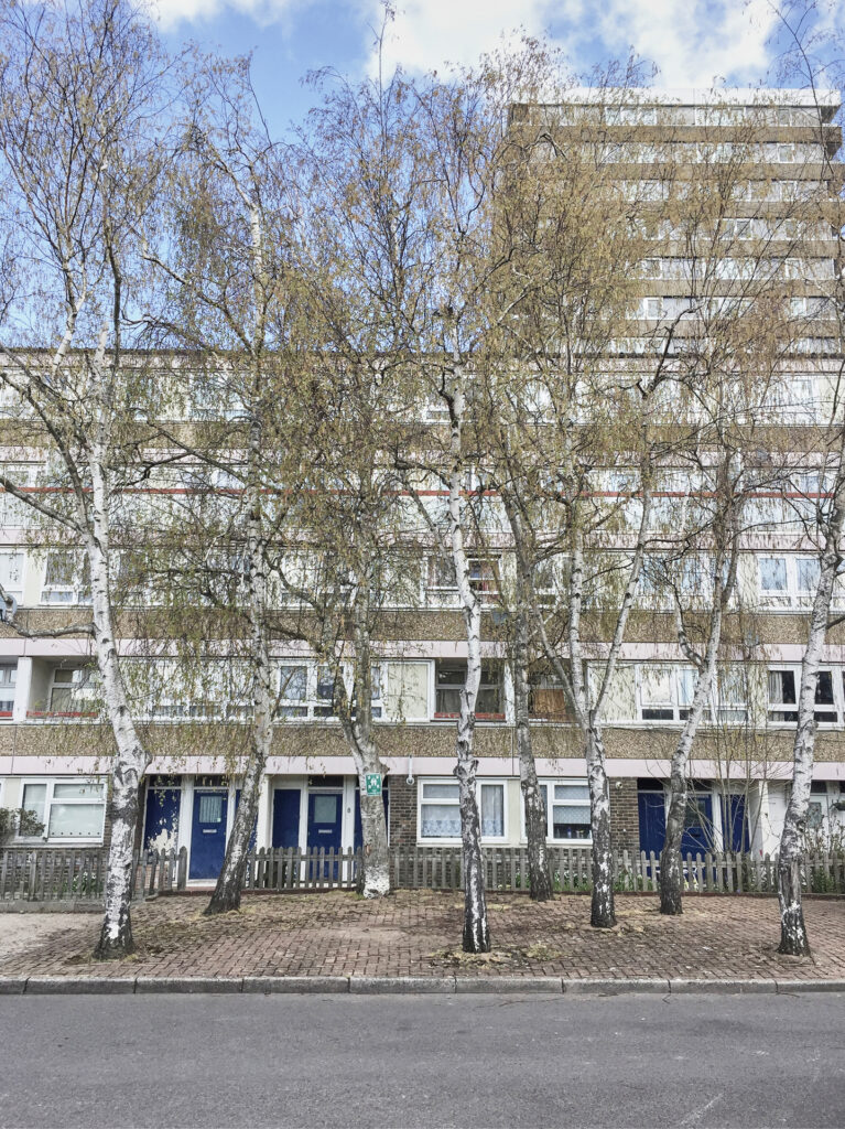 ©Wendy Carrig - Cambridge Flats