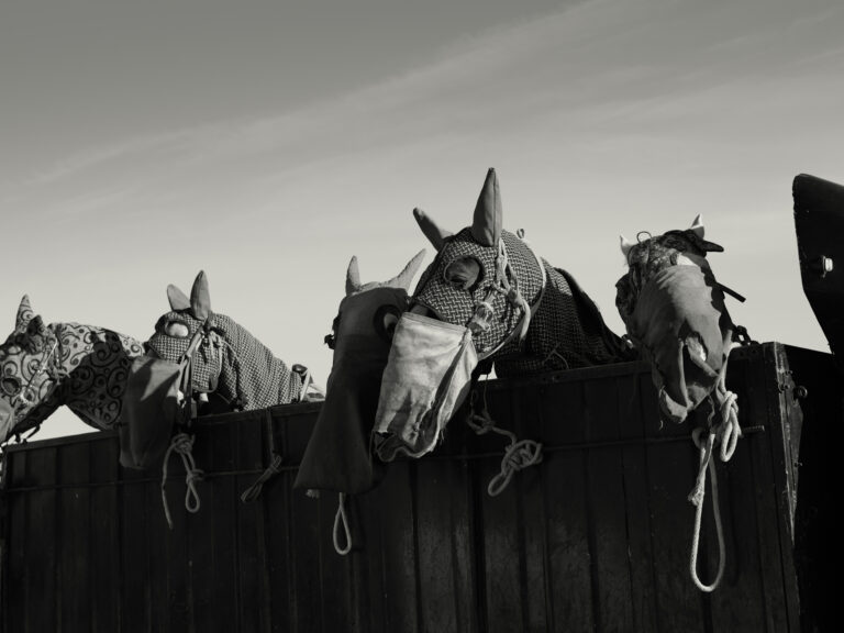 © Todd Antony, Buzkashi