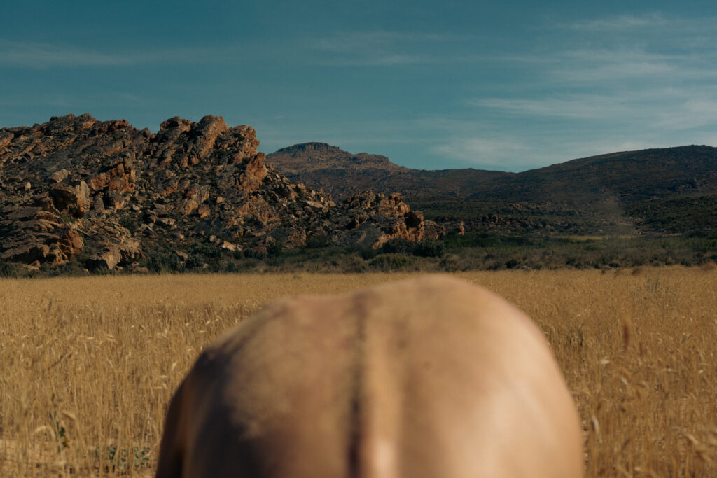 © Jerome Mass - WE ARE ONE