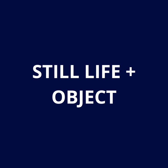 STill Life&Object